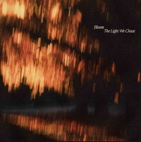 Bloom - the light we chase cover 