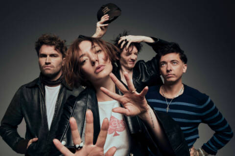 Marmozets