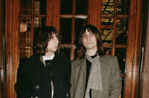 The lemon twigs