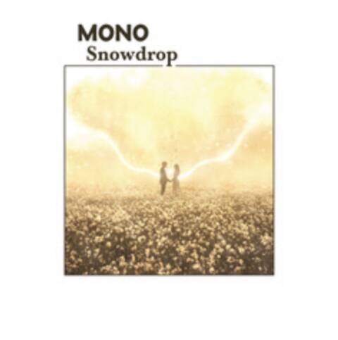 MONO - snowdrop cover